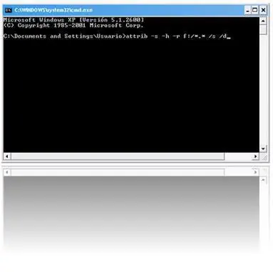 Recuperar archivos ocultos por Virus en USB
