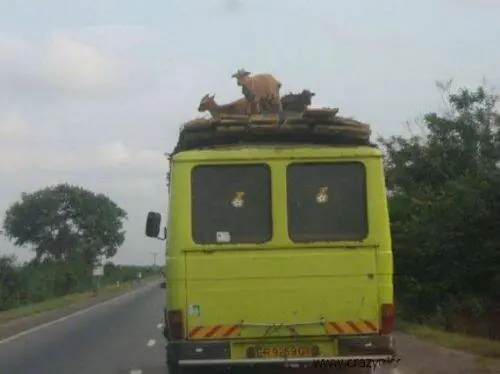 africa