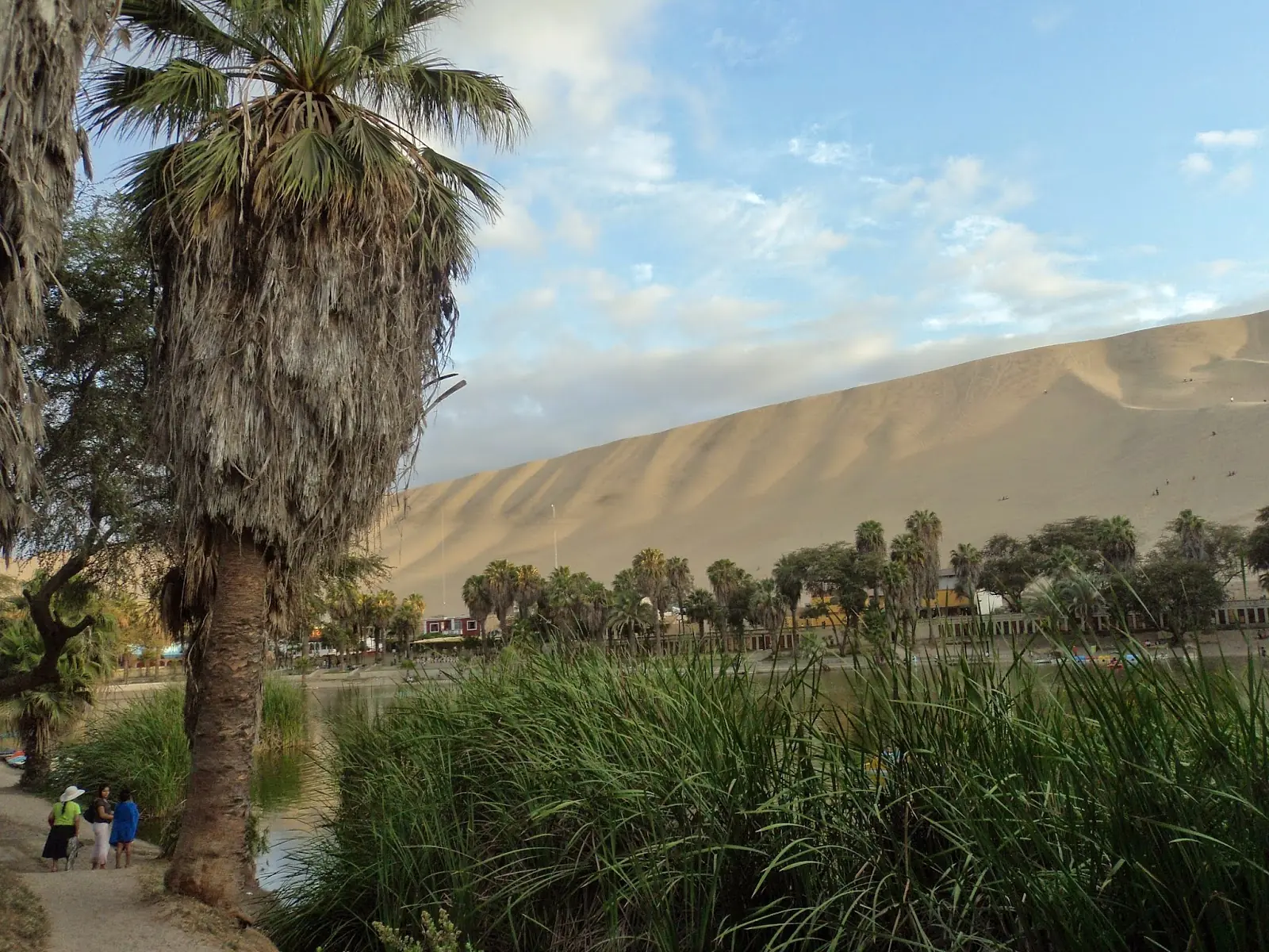 tips Huacachina
