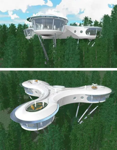 Algunas casas Silvestres en Arboles...
