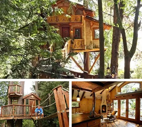 Algunas casas Silvestres en Arboles...