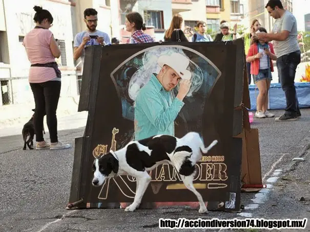 Mi Internet subió misteriosamente y te lo muestro [Telmex]