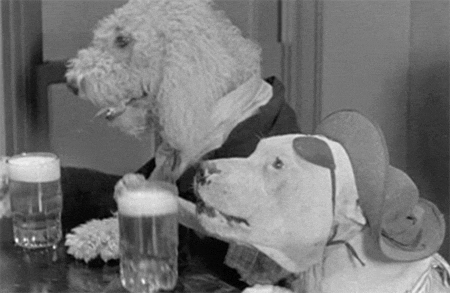 gif humor