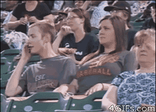 gif humor