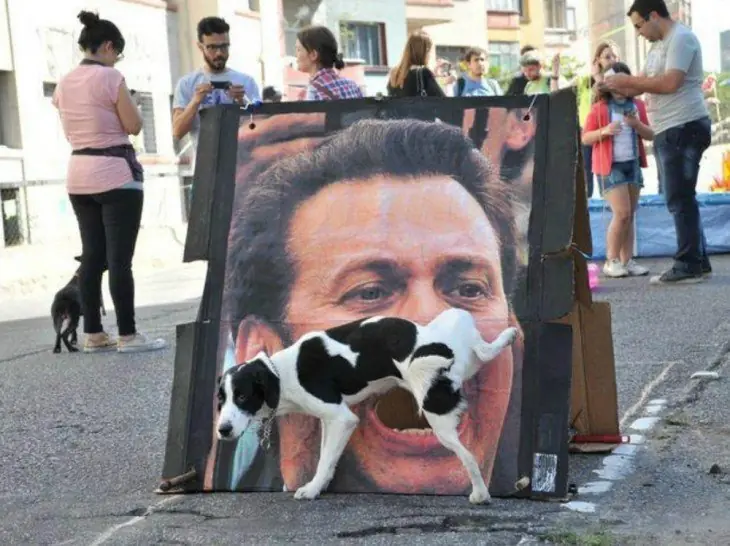 perros