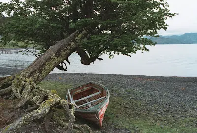 por