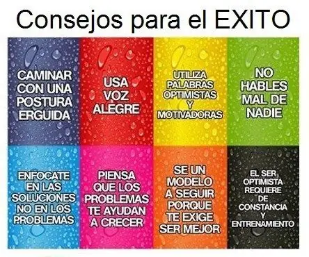 persona exitosa