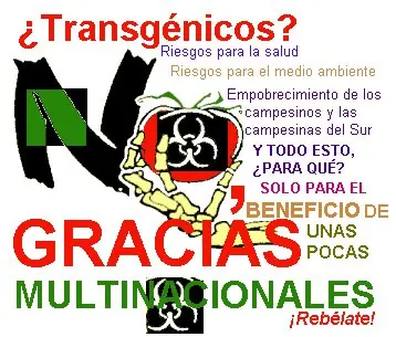 Otra de Transgénicos