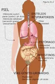 medicamentos
