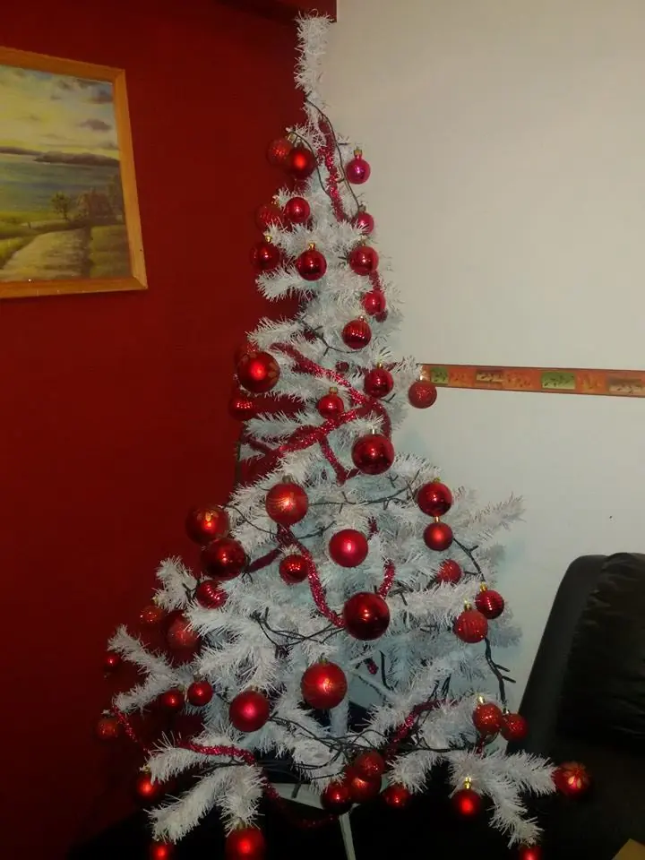 feliz fin de ano feliz fin de ano
