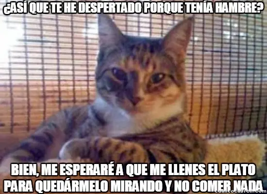 Grafico
