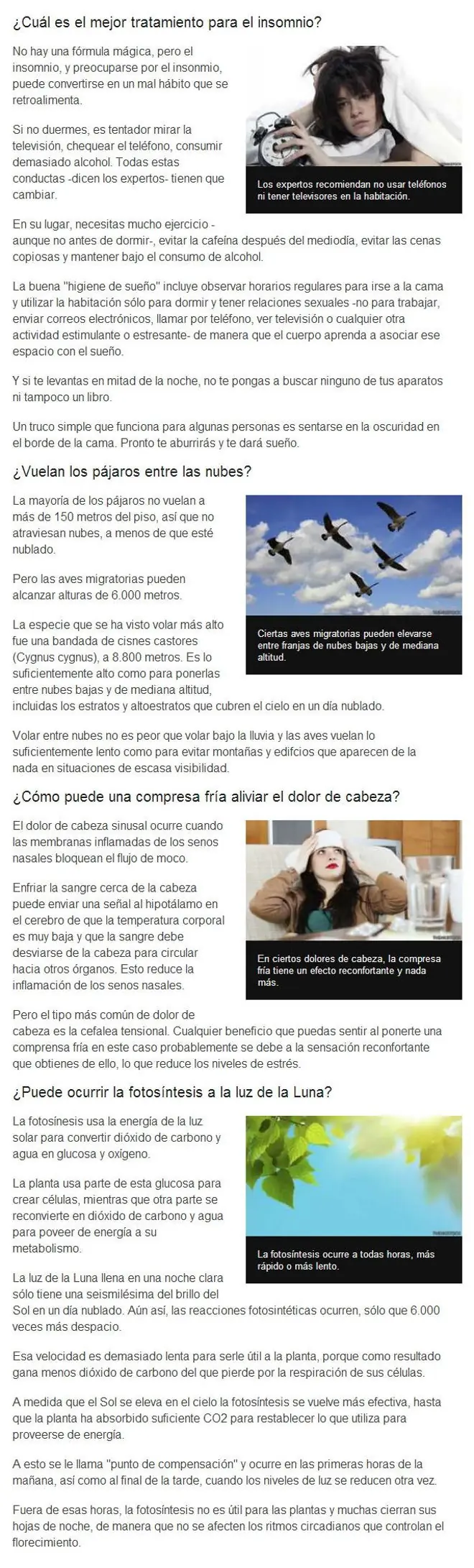 revista