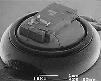 Todo sobre Microchips en Humanos (Megapost)