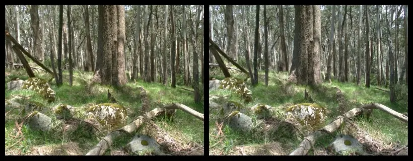 imagenes 3d