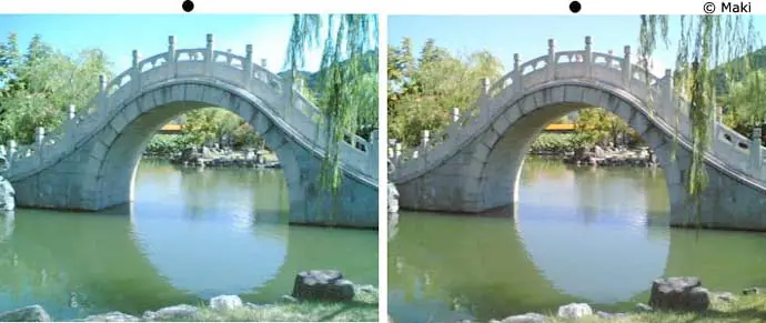 imagenes 3d con lentes