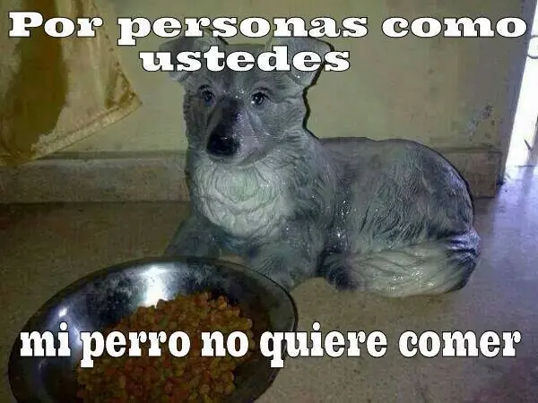 Imagenes graciosas