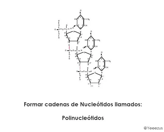 origen de todo