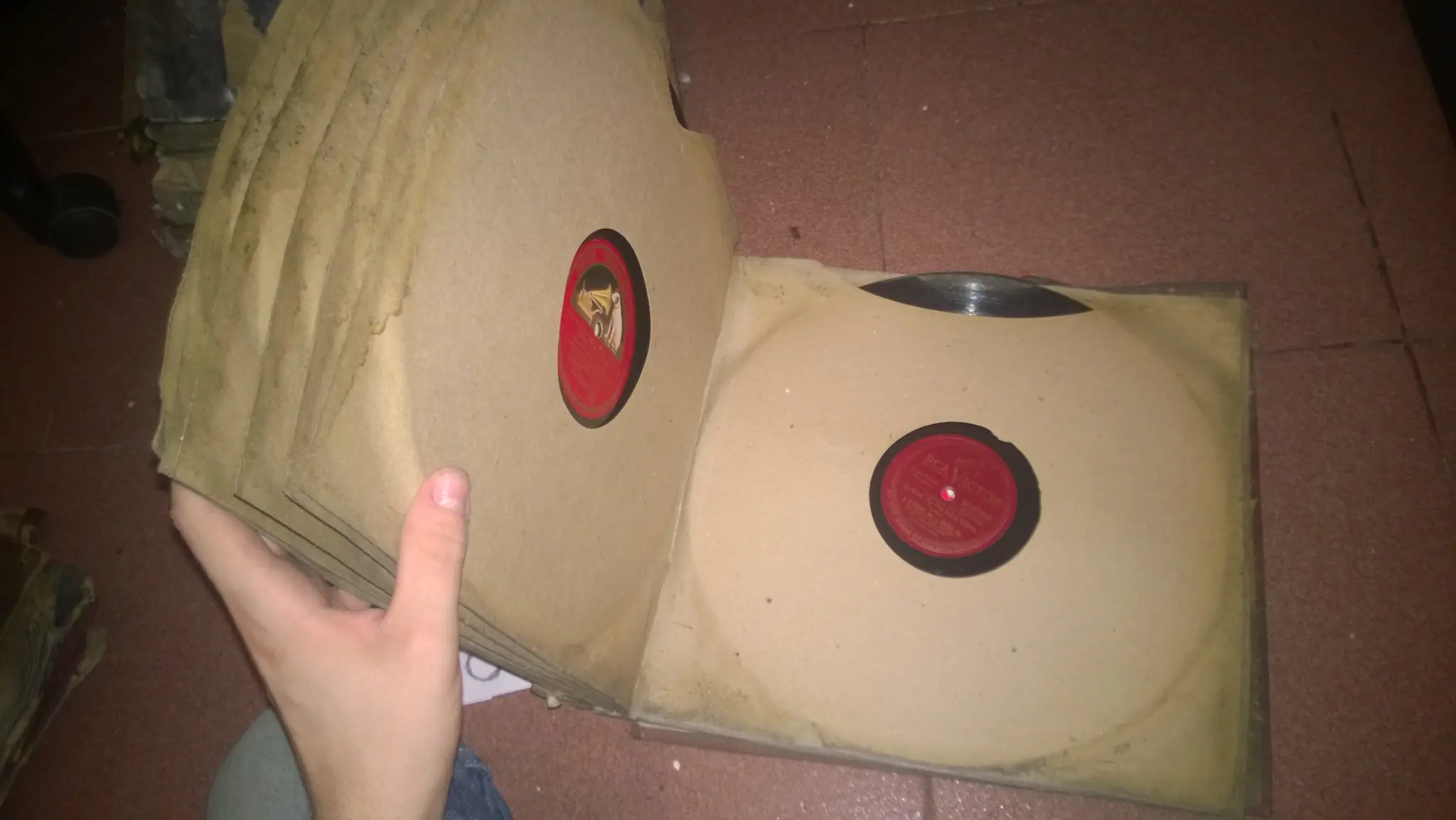 Mira lo que me encontre en la basura lince