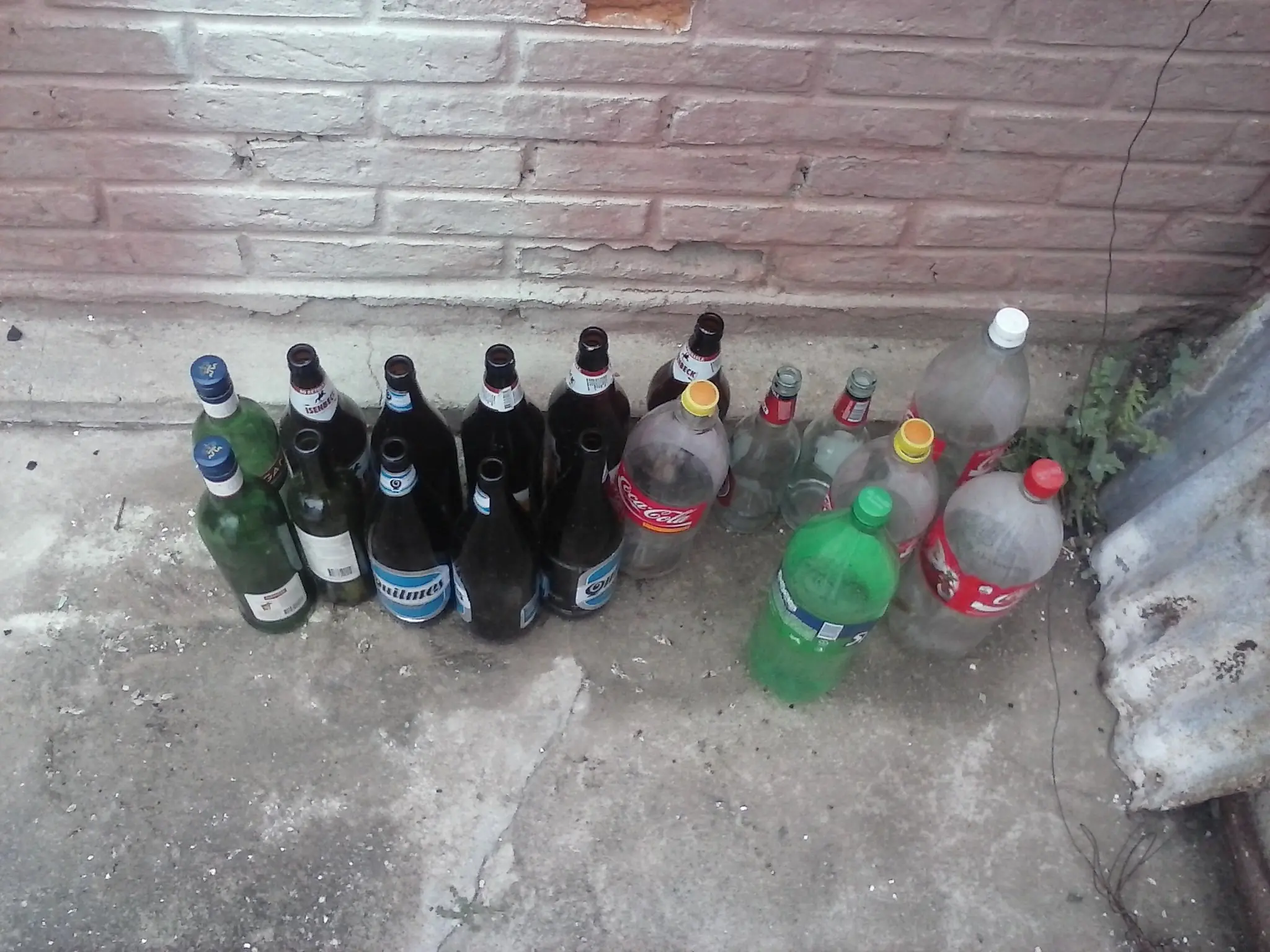 juntada
