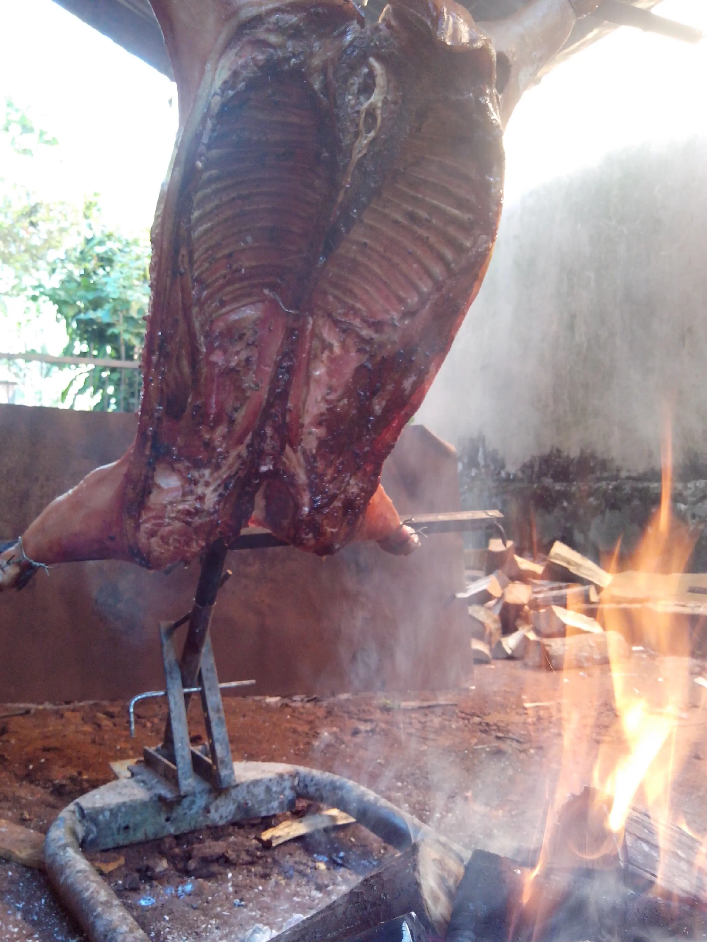 noche buena