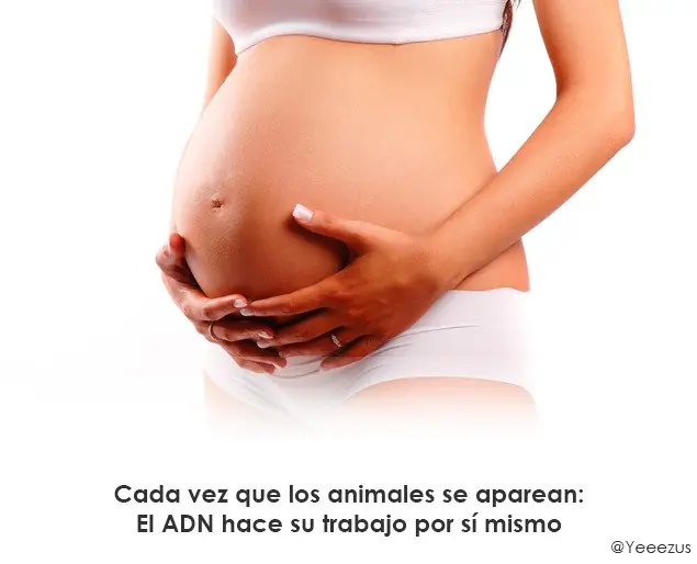el origen de la vida