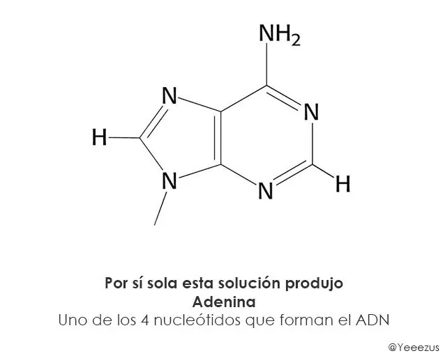 el origen de la vida