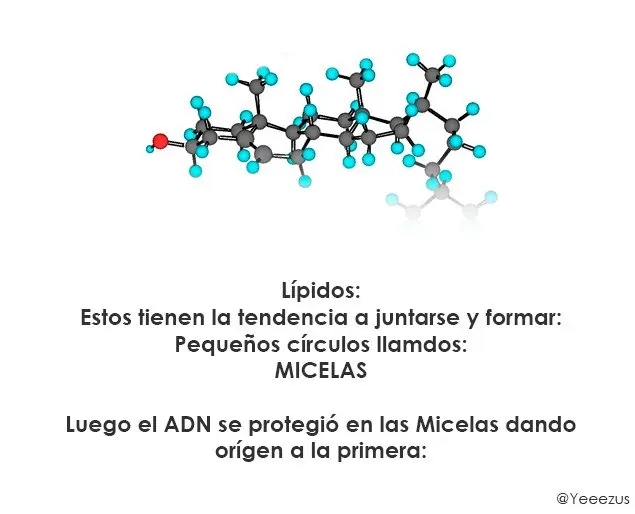 origen de todo