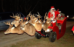 navidad