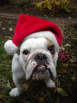santa