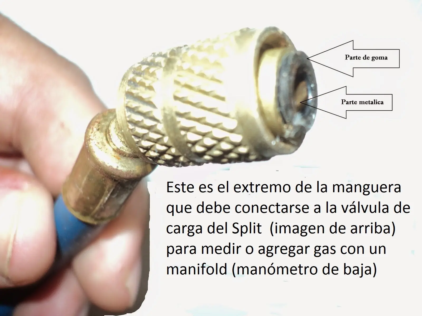 fallas