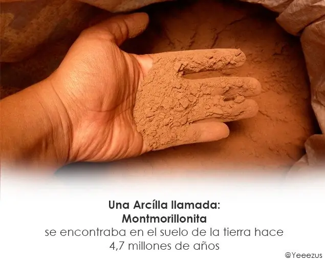 Te Explico el Origen de la Vida.