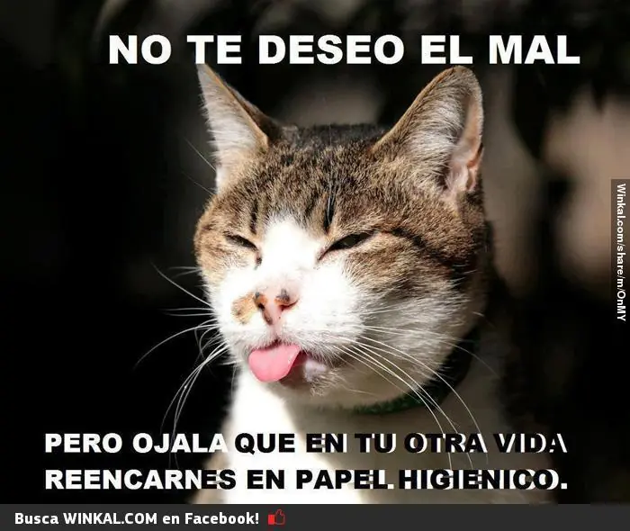 humor gracioso