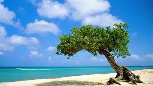 islas