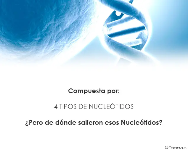 Te Explico el Origen de la Vida.