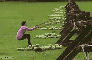 Wasted (GIFS)