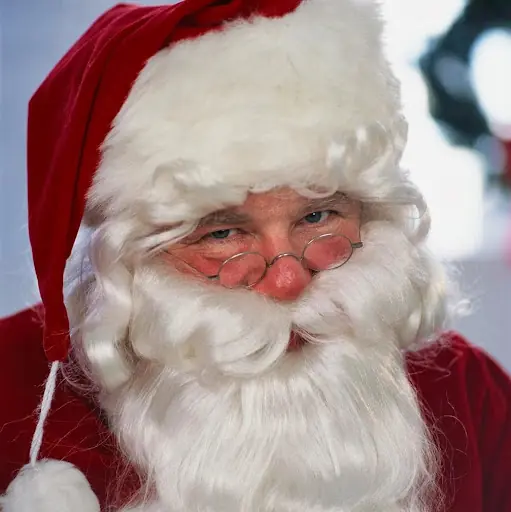 Feliz Navidad y Próspero Año Nuevo!