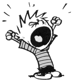 gordo