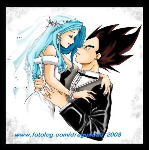 vegeta, mi unico héroe en este lio