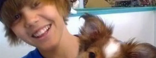 Muere Sammy, el perro de Justin Bieber, y sus fans lloran si