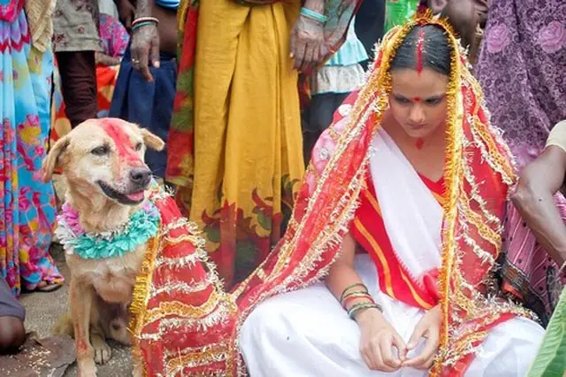 Amor sin barreras, india se casa con su perro