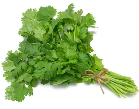 Cure el sarpullido
