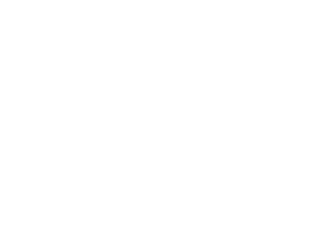 insolito