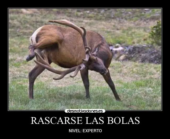 Ladillas