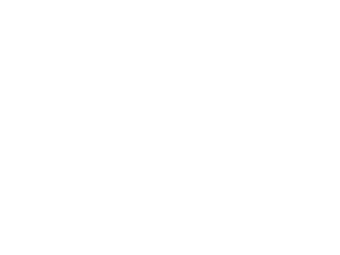 insolito