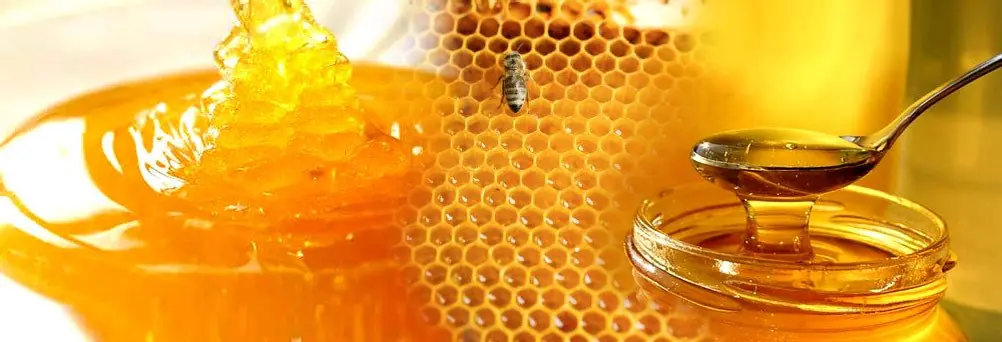 abeja