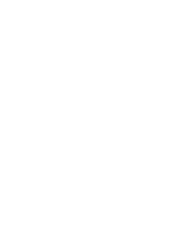 insolito