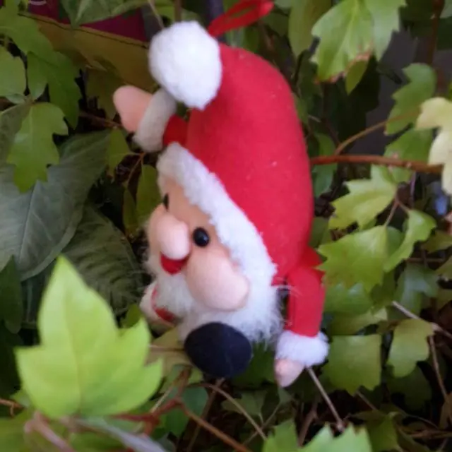papa noel