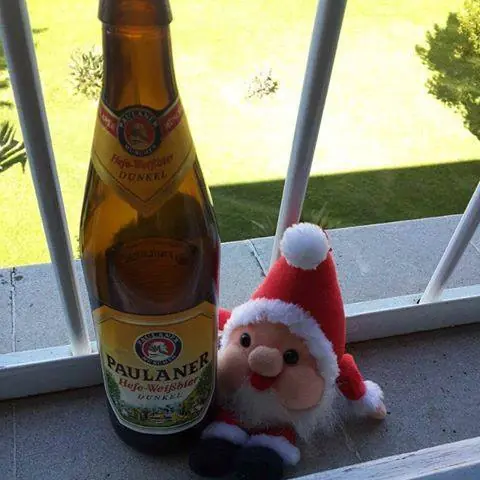 Te cuento como me fue en navidad