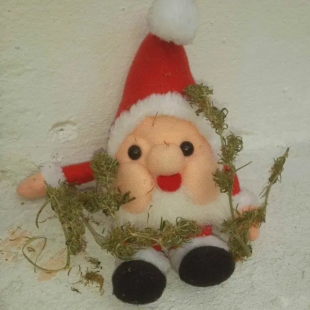 Te cuento como me fue en navidad