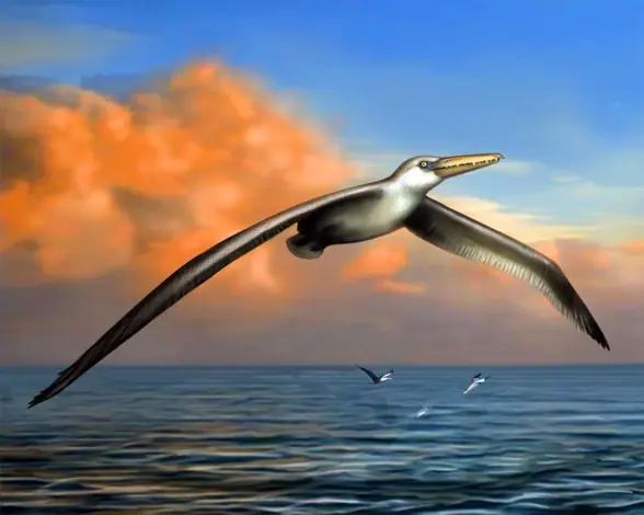 Lo Mejor de la Ciencia 2014 - El futuro es 2015